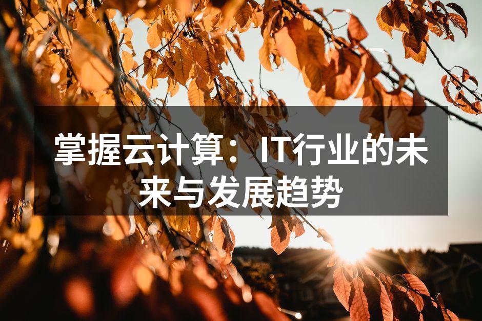 掌握云计算:IT行业的未来与发展趋势