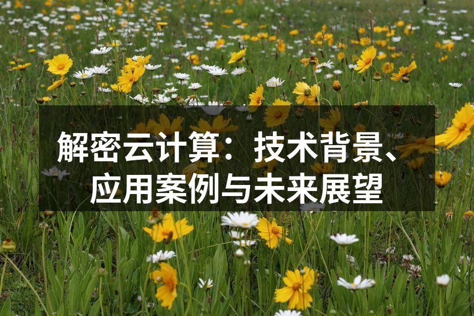 解密云计算:技术背景、应用案例与未来展望