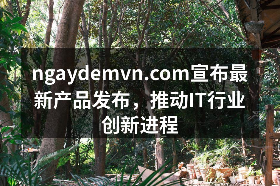 ngaydemvn.com宣布最新产品发