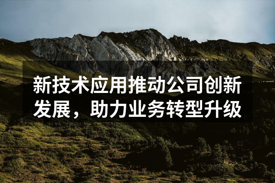 新技术应用推动公司创新发展,助力业务转型
